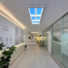 Ultra-thin Rectangular Skylight