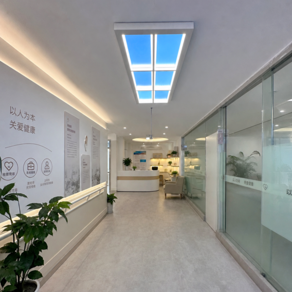 Ultra-thin Rectangular Skylight